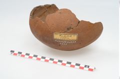 Foto von Keramikgefäß (NHMW-PRAE-002237)